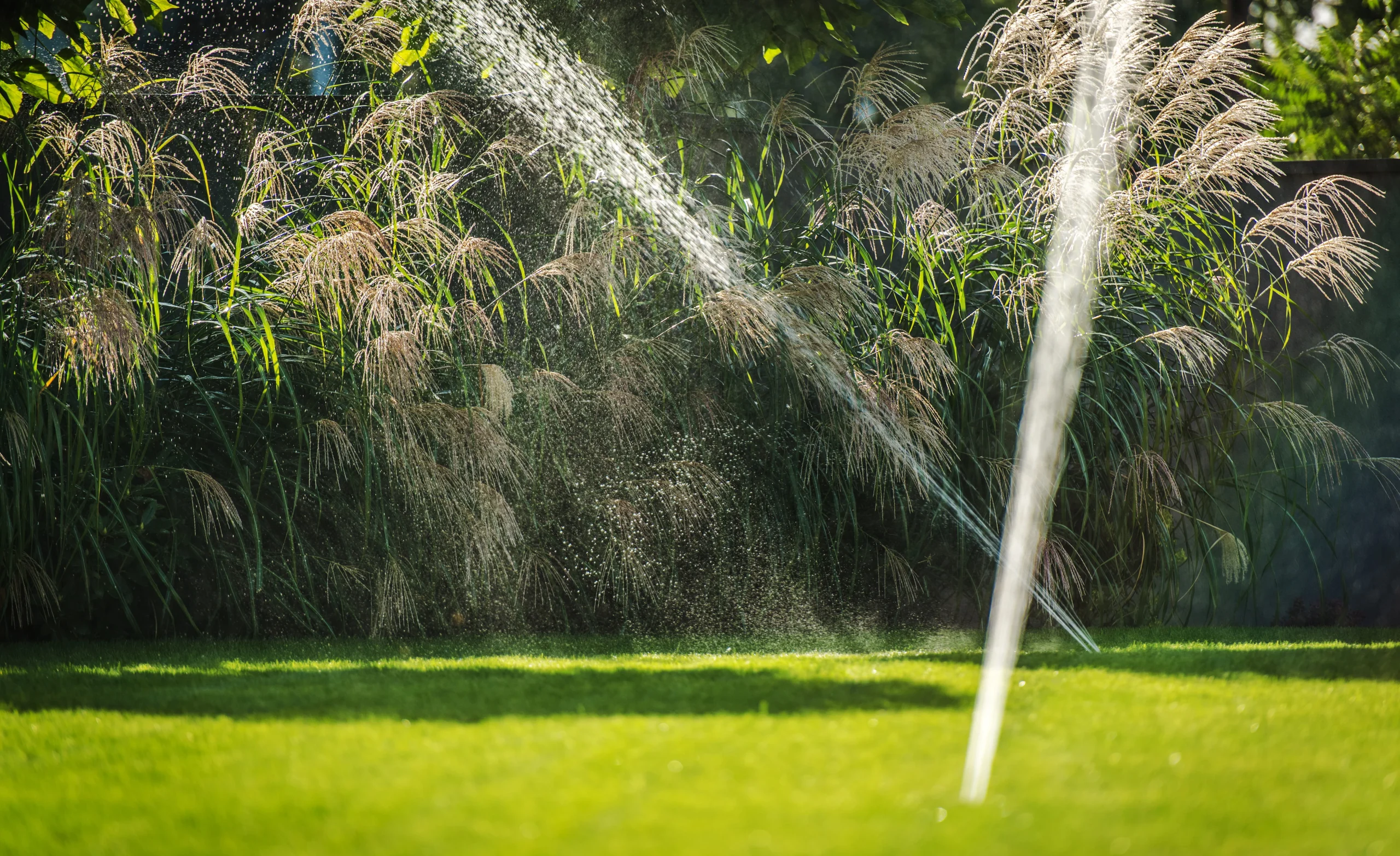 Automatic lawn sprinkler watering green grass and garden plants in a residential backyard in New York