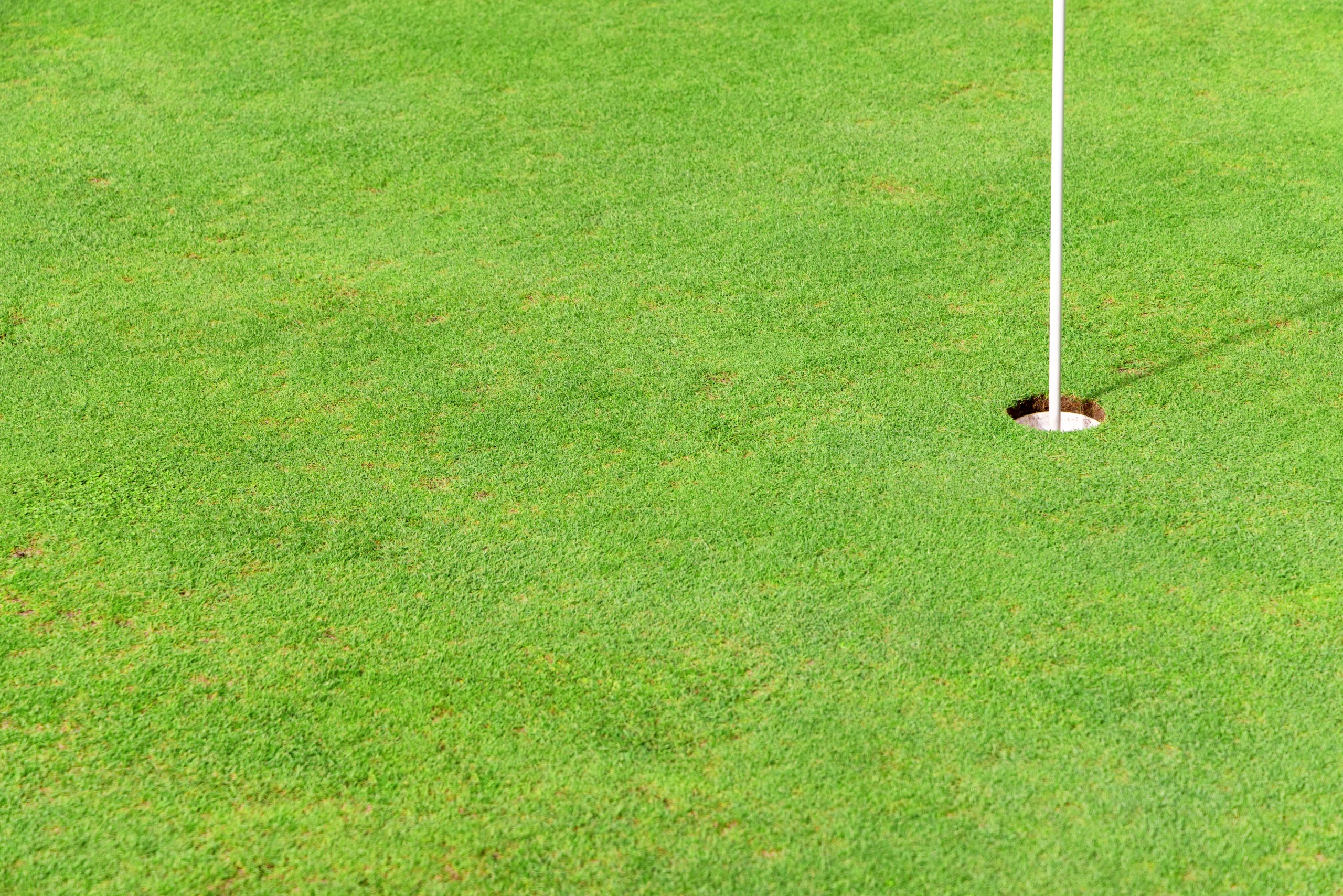 Close-up of putting green hole with flagstick on smooth turf surface